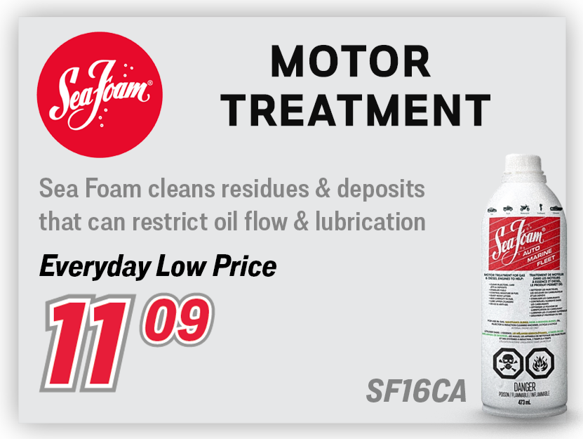 Sea Foam Motor Treatment SF16CA