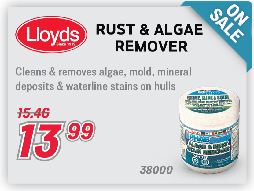 Lloyds Rust & Algae Remover