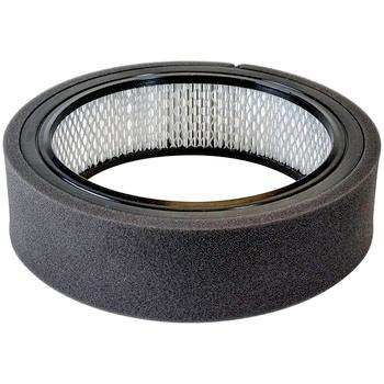 1984 Buick Skylark Air Filter