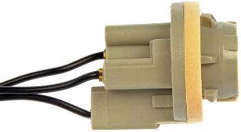 1978 Ford Mustang II Tail Lamp Socket Dorman 85870 image 4 of 4