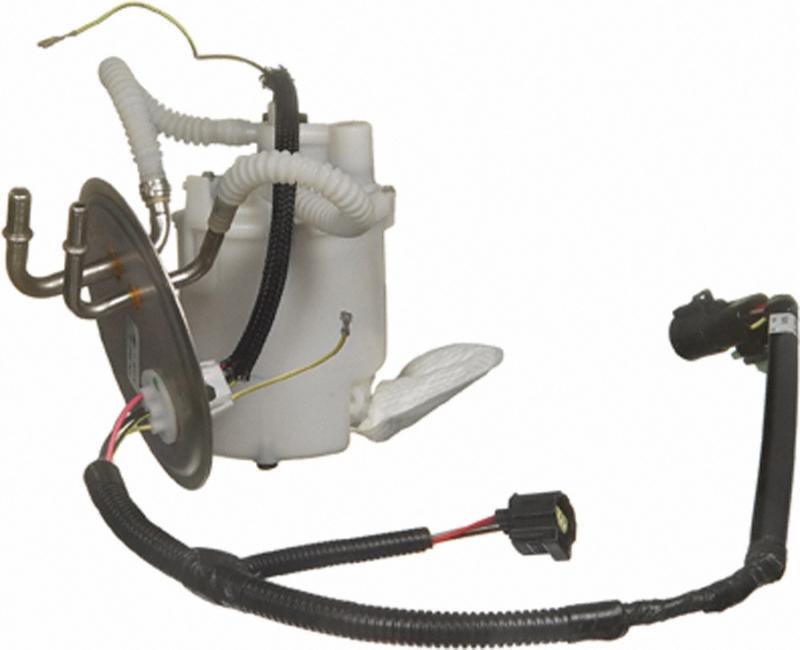 Carter P74742M  product image 1 of 2