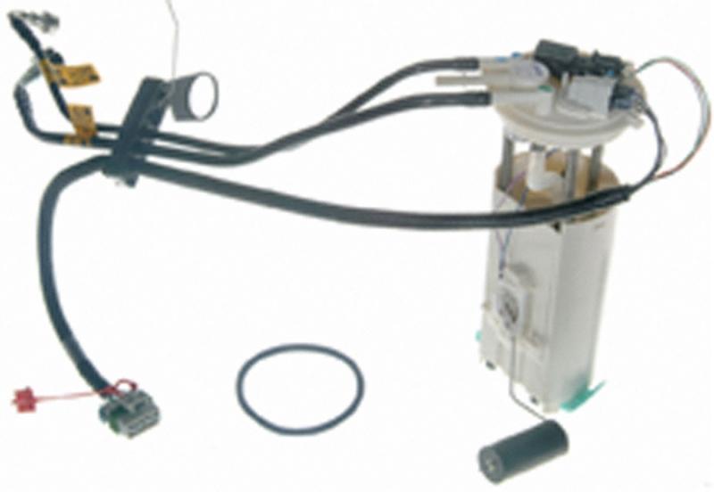Carter P74781M  product image 1 of 2