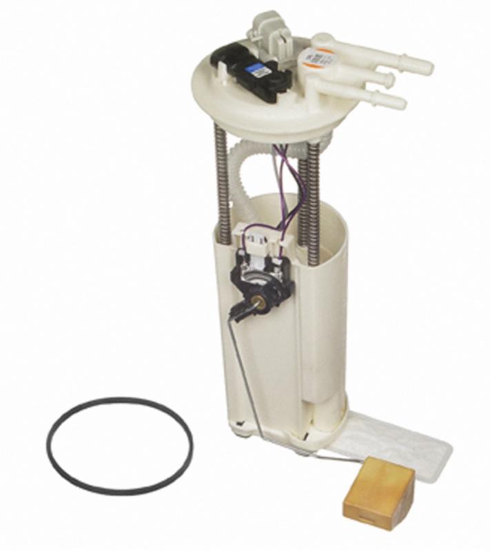 Carter P74795M  product image 1 of 2