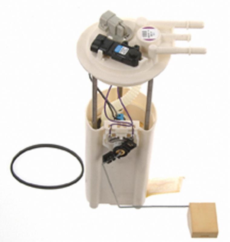 Carter P74981M  product image 2 of 2