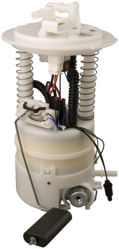 Carter P76359M  product image 1 of 2