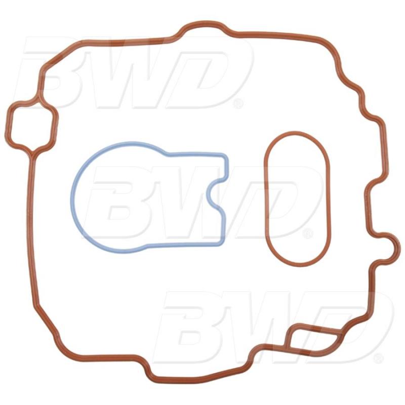 Buy BWD 11218 Fuel Injection Multi-Port Tune-up Kit Online in Canada