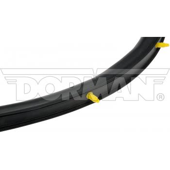 2008 Freightliner Cascadia Door Seal