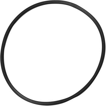 1981 Nissan 810 Fuel Pump Tank Seal