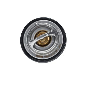 2005 Jaguar S-Type Engine Coolant Thermostat