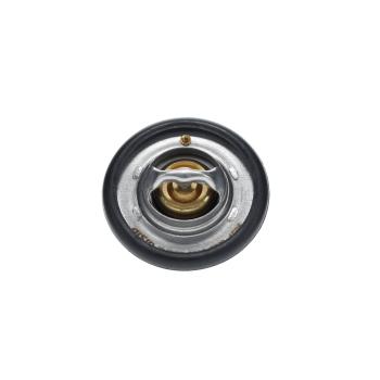 1996 Ford Explorer Engine Coolant Thermostat