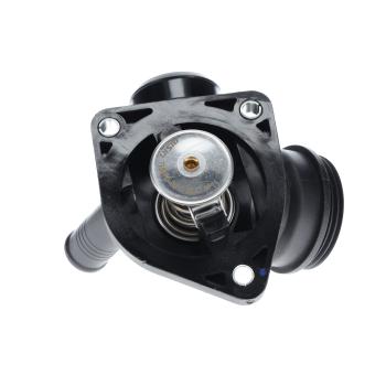 2003 Lincoln LS Engine Coolant Thermostat