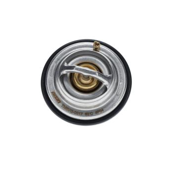 2006 Porsche Cayenne Engine Coolant Thermostat