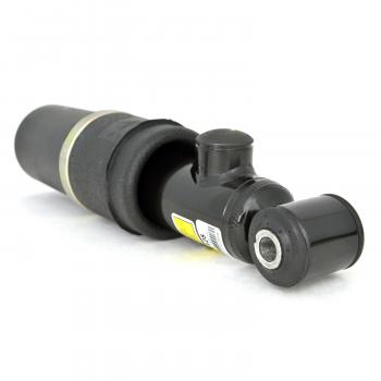 1994 Cadillac DeVille Shock Absorber Rear Arnott AS2125 image 2 of 4