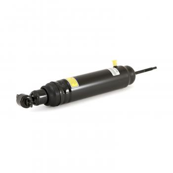 ARNOTT AS2190 - Shock Absorber Set Product image