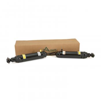 ARNOTT AS2190 - Shock Absorber Set Product image