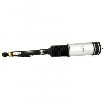 ARNOTT AS2194 - Suspension Air Strut Product image