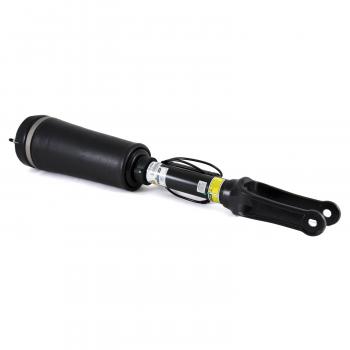 2007 Mercedes-Benz R350 Suspension Air Strut Front Arnott AS2394 image 1 of 4