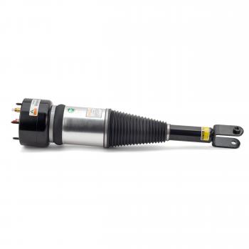 ARNOTT AS2888 - Suspension Strut Assembly Product image