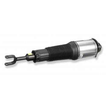 ARNOTT AS2892 - Suspension Strut Assembly Product image