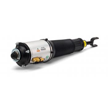 ARNOTT AS2893 - Suspension Strut Assembly Product image