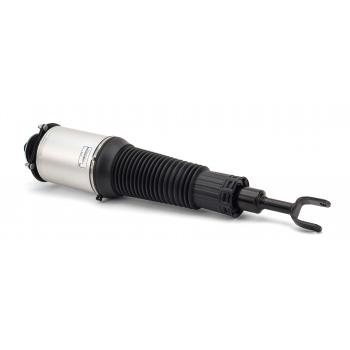 ARNOTT AS2893 - Suspension Strut Assembly Product image