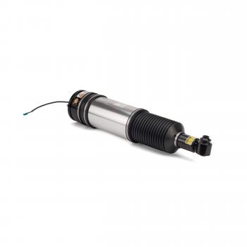 ARNOTT AS2978 - Suspension Strut Assembly Product image