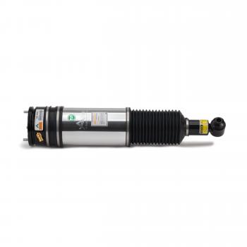 ARNOTT AS2980 - Suspension Strut Assembly Product image