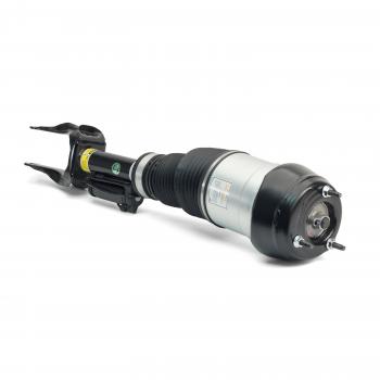 ARNOTT AS3060 - Suspension Strut Assembly Product image