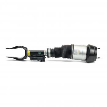 ARNOTT AS3060 - Suspension Strut Assembly Product image