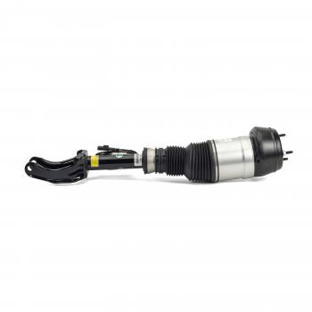 ARNOTT AS3061 - Suspension Strut Assembly Product image