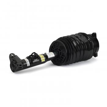 2010 Mercedes-Benz E550 Suspension Air Strut Front Right Arnott AS3422 image 2 of 4