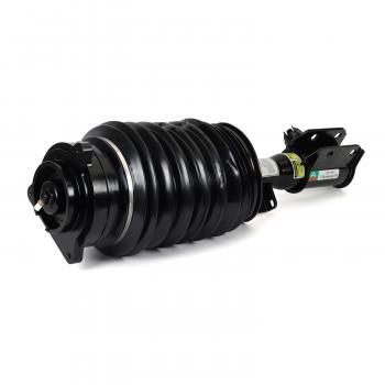 2010 Mercedes-Benz E550 Suspension Air Strut Front Left Arnott AS3425 image 1 of 4