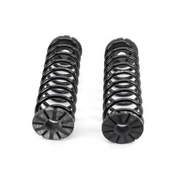 ARNOTT C2175 - Air Spring to Coil Spring Conversion Kit Product image