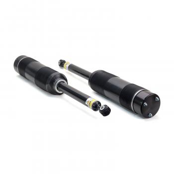 2006 Mercedes-Benz S430 Air Spring to Coil Spring Conversion Kit Front and Rear Arnott C2271 image 3 of 4