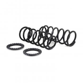 2008 Lexus GX470 Air Spring to Coil Spring Conversion Kit Rear Arnott C2410 image 2 of 4