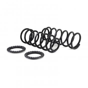 ARNOTT C2410 - Air Spring to Coil Spring Conversion Kit Product image