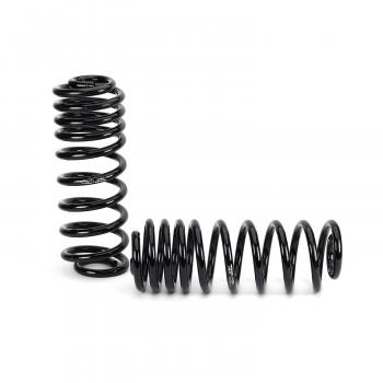 2002 Lincoln Navigator Air Spring to Coil Spring Conversion Kit Rear Arnott C2607 image 4 of 4