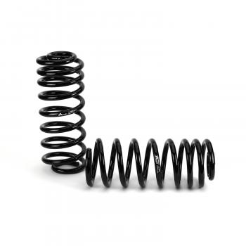 2002 Lincoln Navigator Air Spring to Coil Spring Conversion Kit Rear Arnott C2608 image 4 of 4