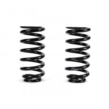 2006 Mercedes-Benz E55 AMG Air Spring to Coil Spring Conversion Kit Rear Arnott C2896 image 2 of 4