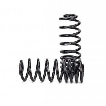 ARNOTT C2988 - Air Spring to Coil Spring Conversion Kit Product image