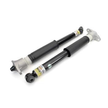 2013 Hyundai Equus Air Spring to Coil Spring Conversion Kit Front and Rear Arnott C3633 image 4 of 4