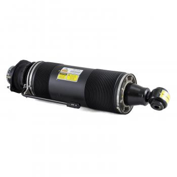 2006 Mercedes-Benz SL55 AMG Suspension Strut Rear Right Arnott SK2419 image 1 of 4