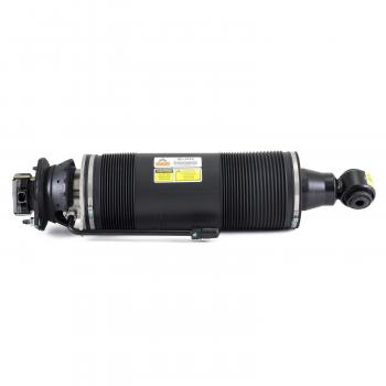 Arnott SK2420 Shock Absorber product image 5 of 5