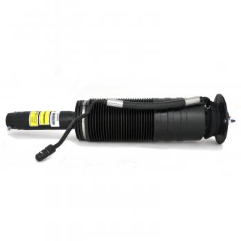 2006 Mercedes-Benz CL65 AMG Suspension Strut