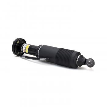 2009 Mercedes-Benz SL600 Suspension Strut Front Right Arnott SK2470 image 3 of 4