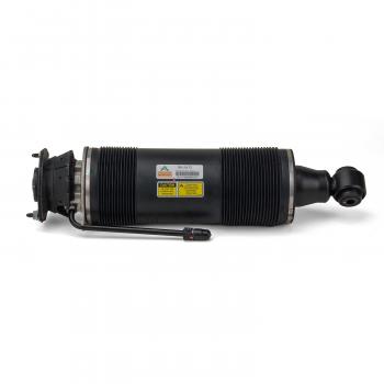 2009 Mercedes-Benz SL600 Suspension Strut Rear Right Arnott SK2472 image 4 of 4