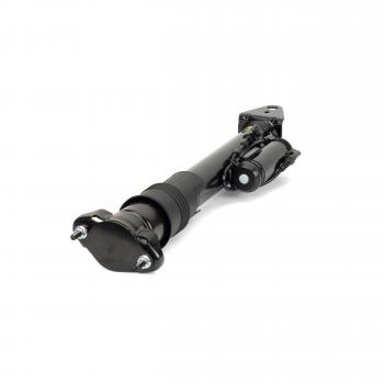 2007 Mercedes-Benz R500 Shock Absorber Rear Arnott SK3262 image 1 of 4