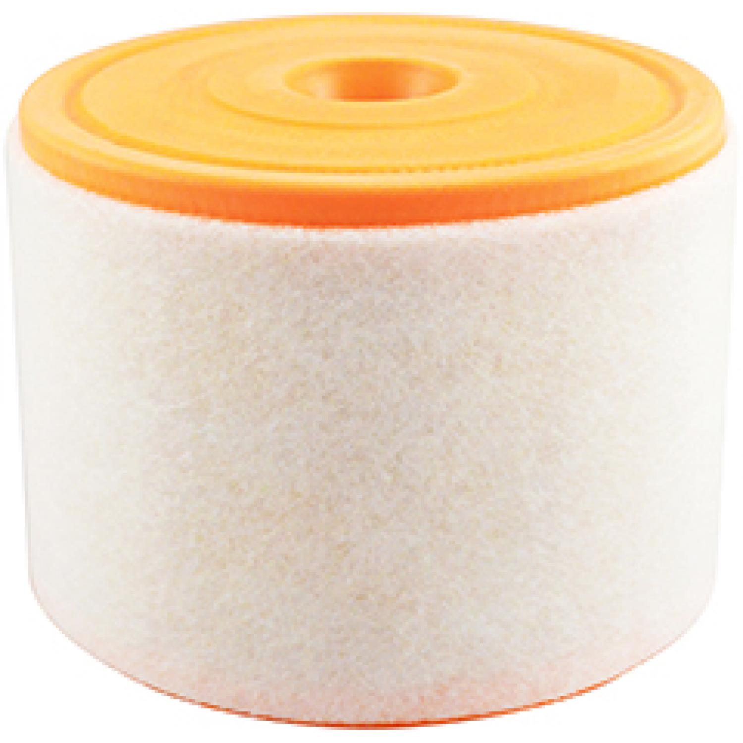 Baldwin PA10117 Air Filter product image 1 of 1