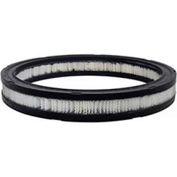1976 Ford Mustang II Air Filter
