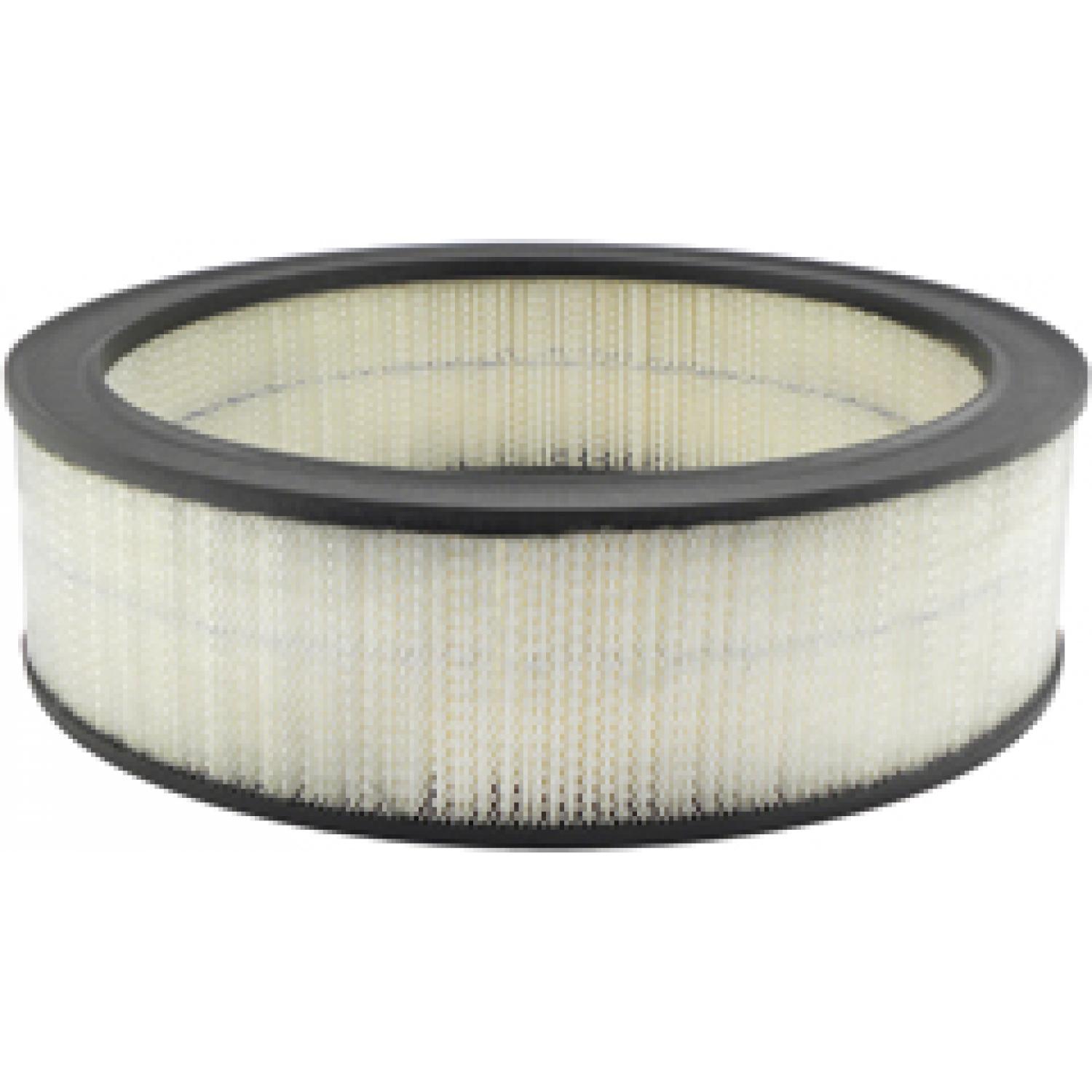 Baldwin PA2008 Air Filter product image 1 of 1